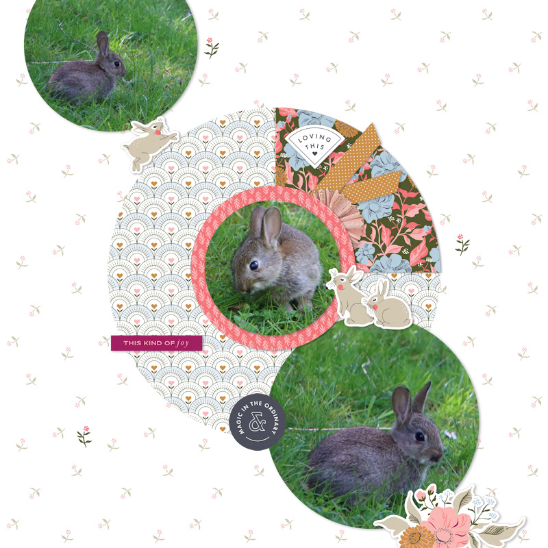 240507_bun