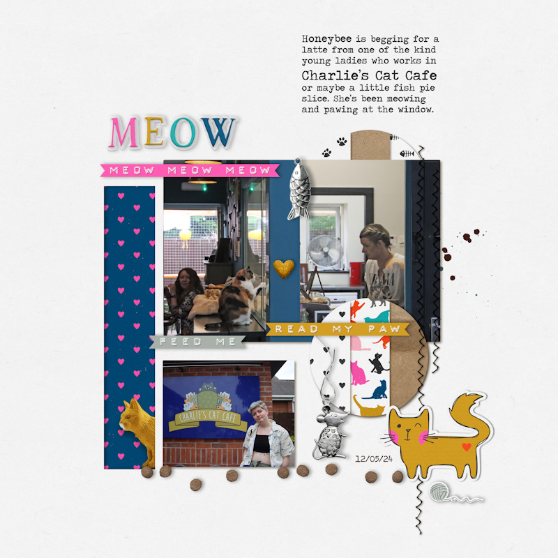 2405112_cat Honeybee