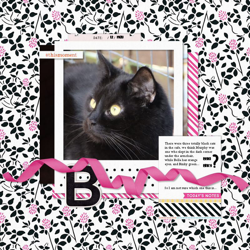 240512_Bella Binky