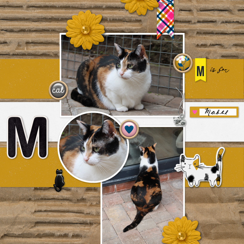 240512_Mabel01