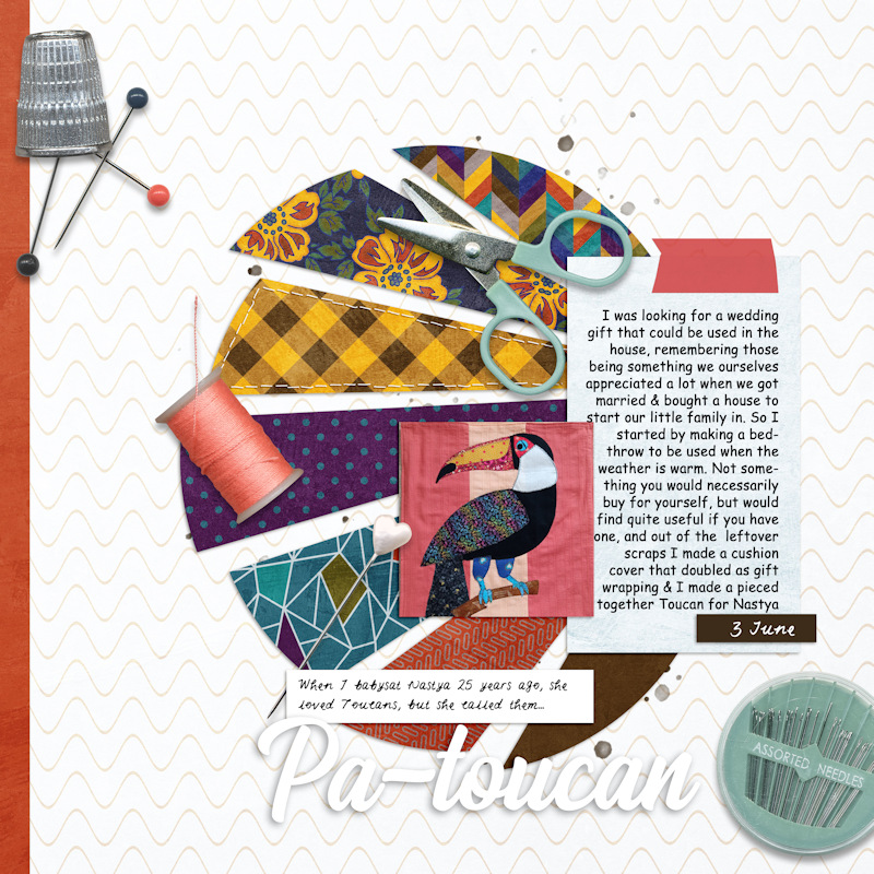 240603_Toucan