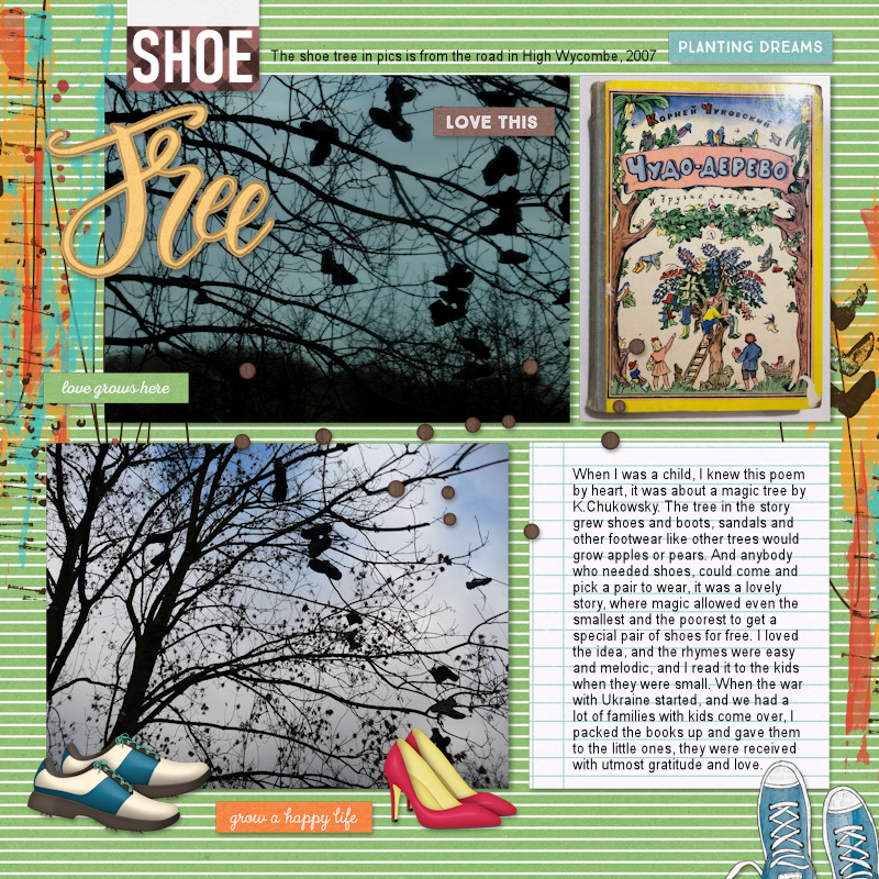240730 Documented07_shoe Tree