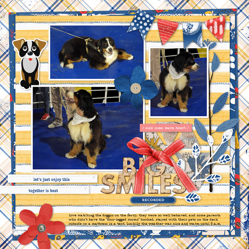 240916_dogs Ferry