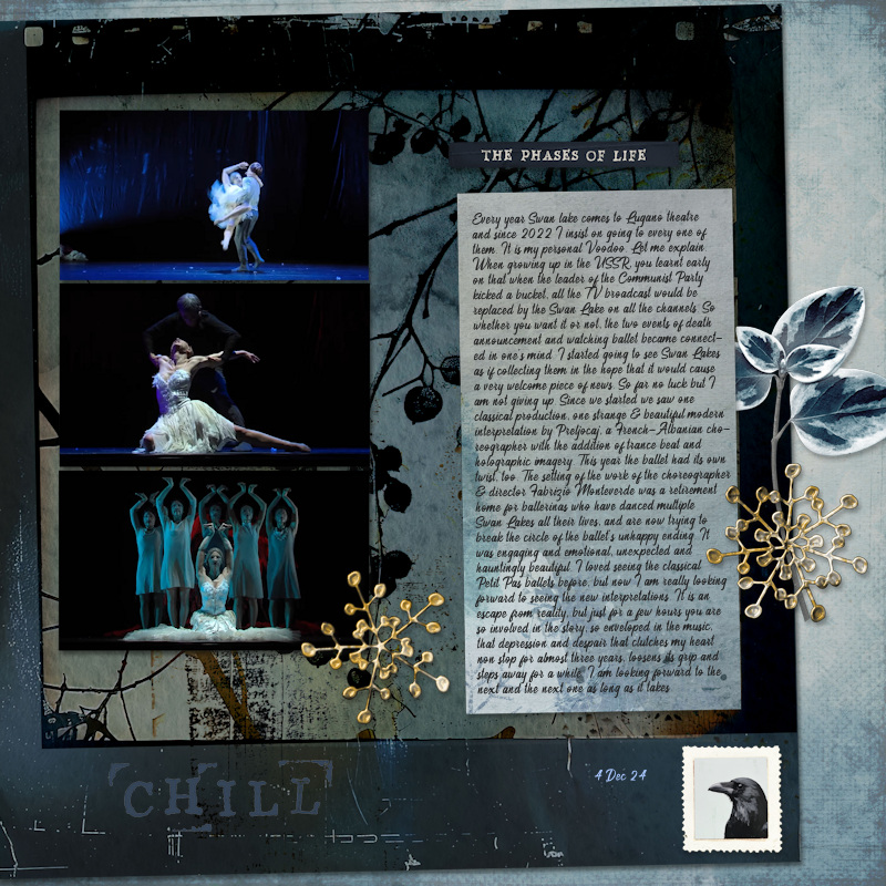 241204_swan Lake