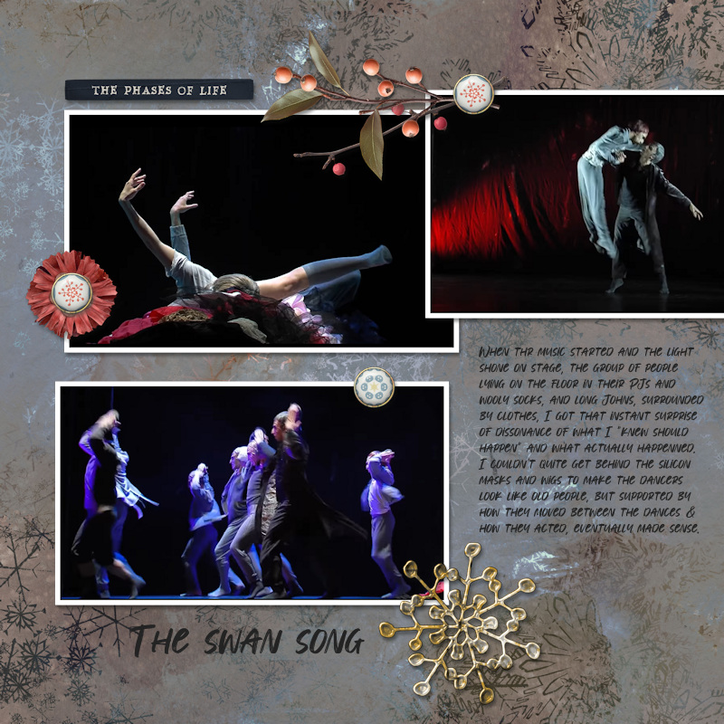 241204_swan Song