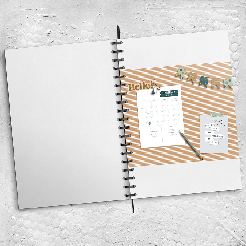 25-01_planner-p2