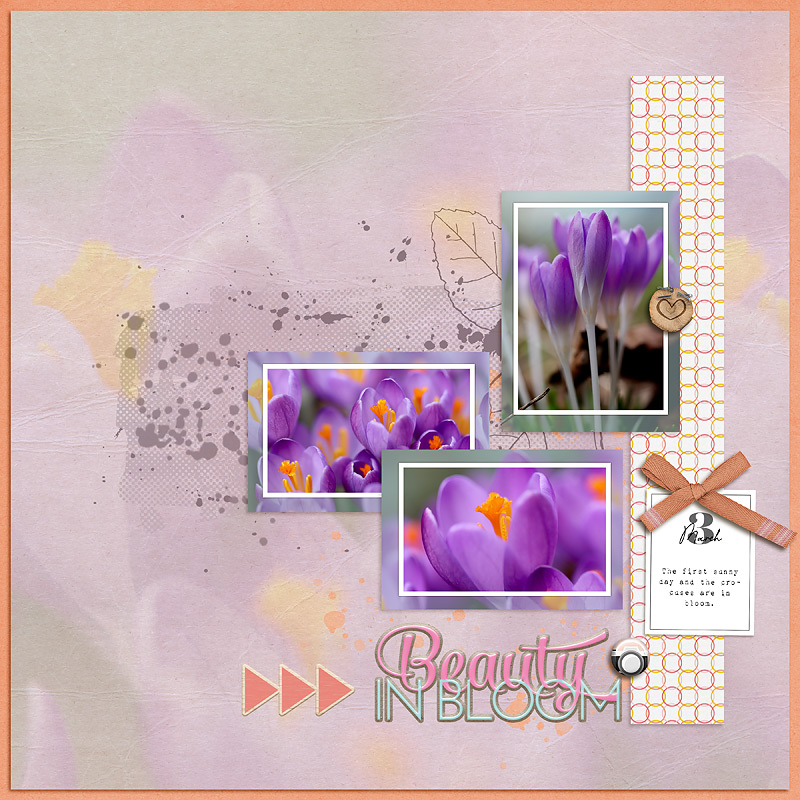 25-03_TLP_March-Template-Challenge-copy