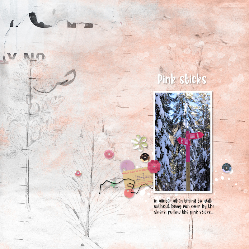 250202_pink Sticks