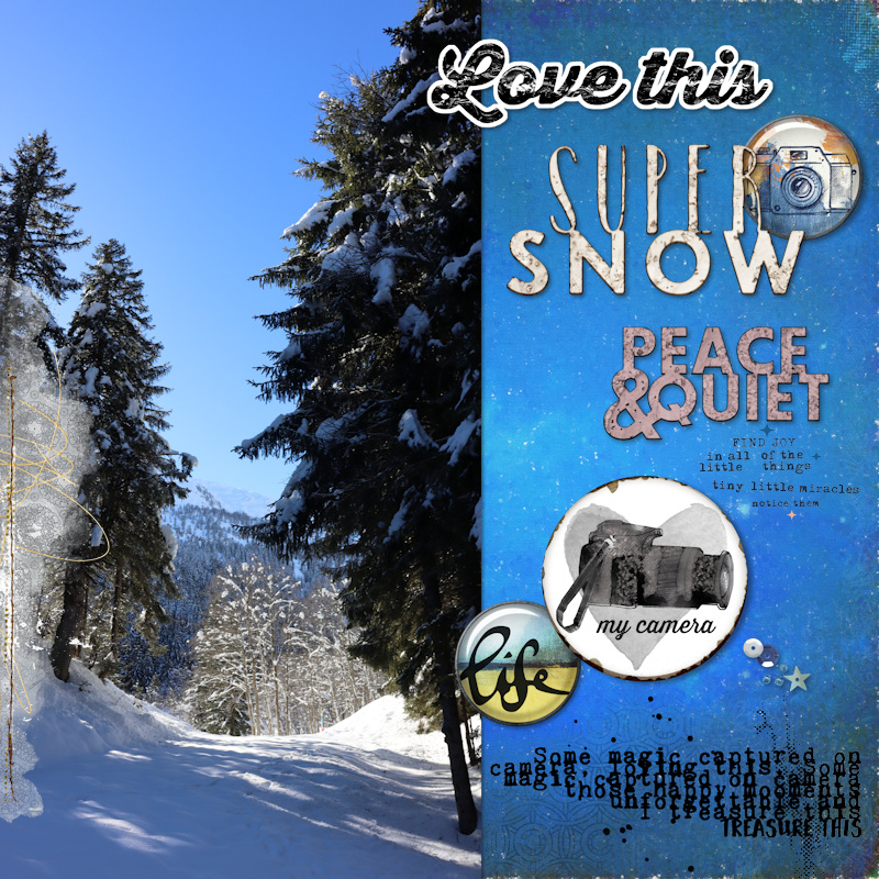 250202_Snow