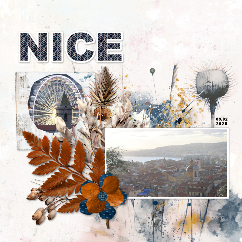 250209_Nice