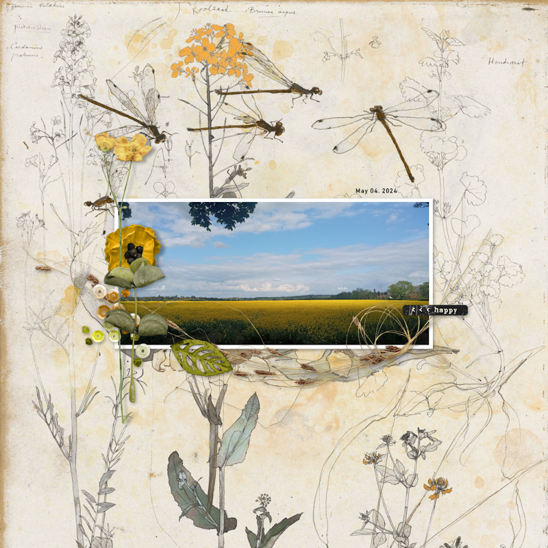 250504_field