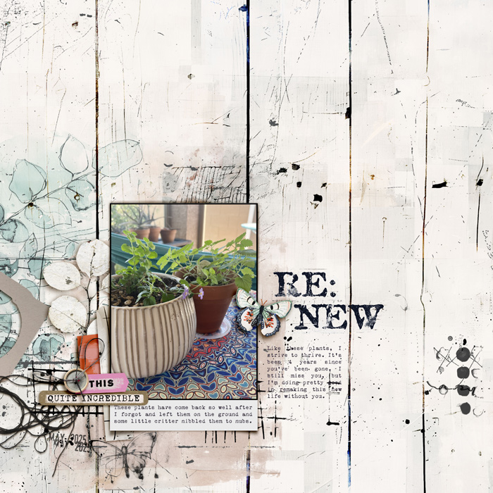 2506-Renewing-copy