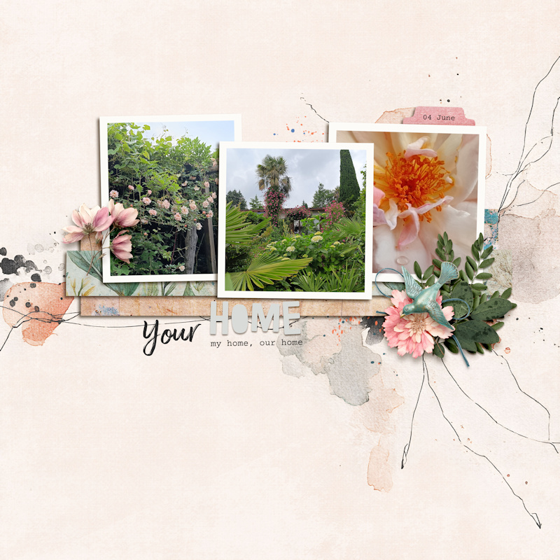 250604_home