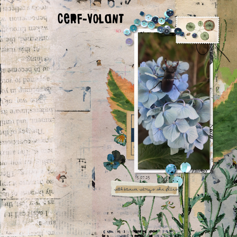 250715_cerf