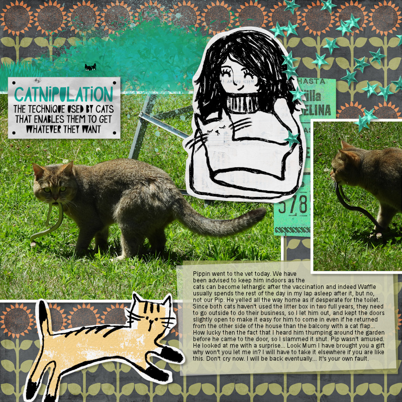 250716_cat Snake