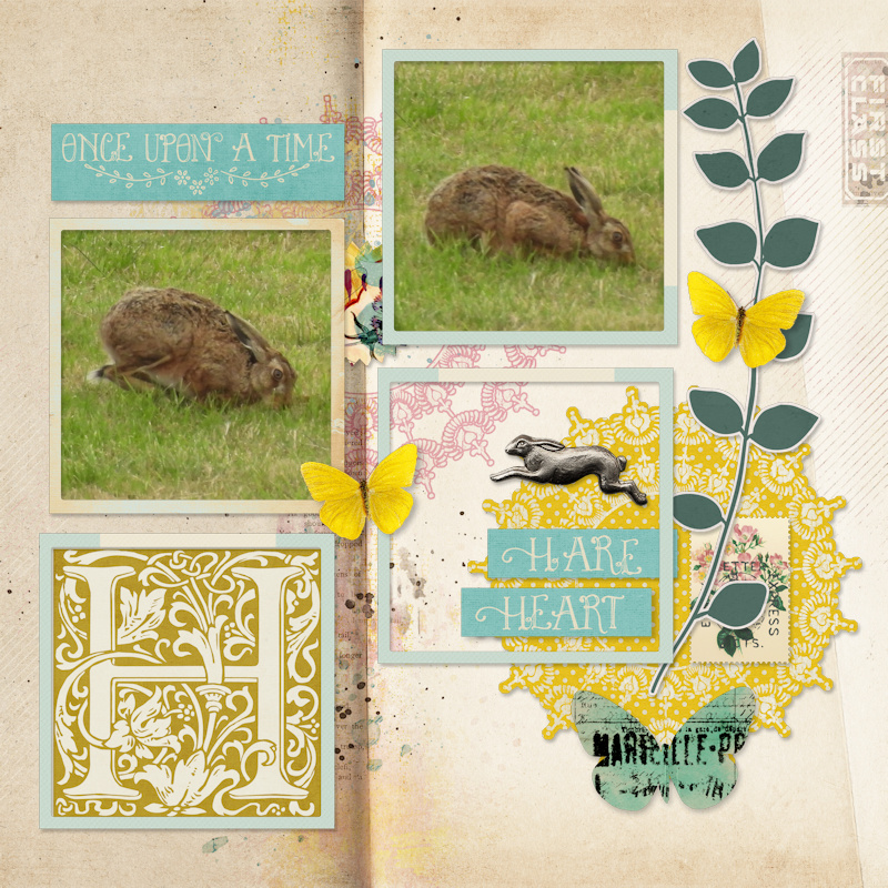 250826_hare