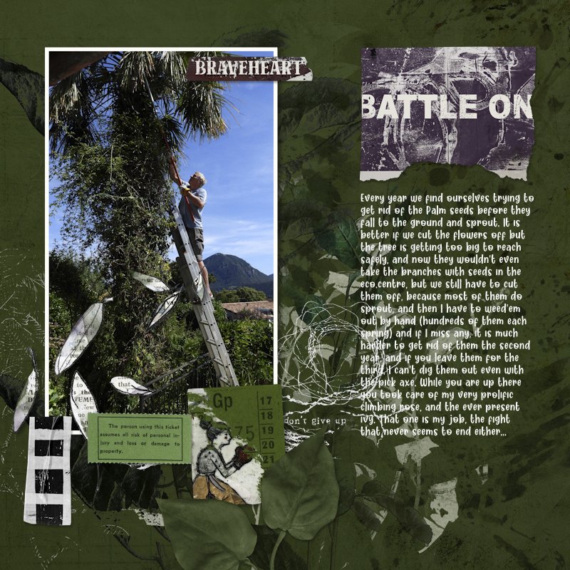 250906_garden fight.jpg