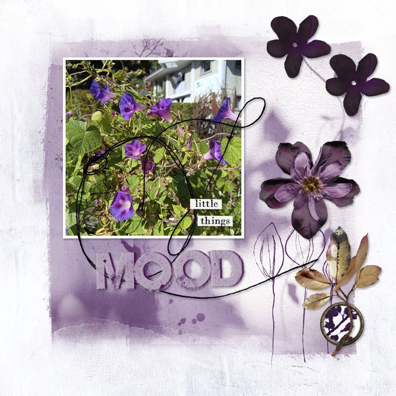 251005_flowers.jpg