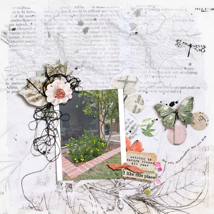 2511=GiftofPeachandNature-copy.jpg