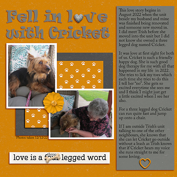 25_Tell-a-Love-Story_Fell-in-Love-with-Cricket