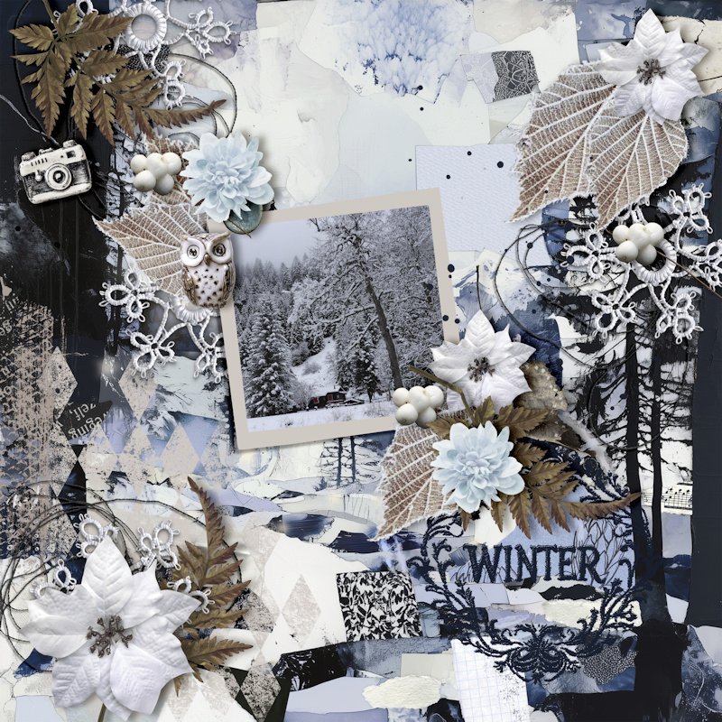 260125_snow.jpg
