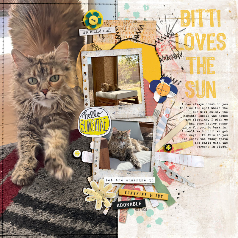 2603-Bitti-template-copy.jpg