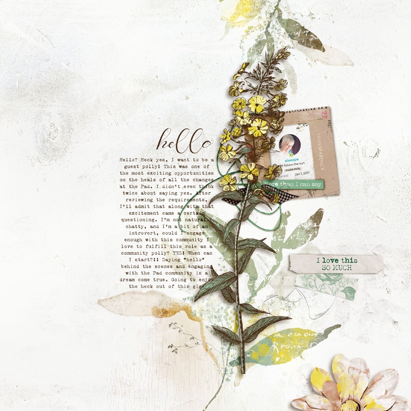 2603-LG-SOSN-journal-copy.jpg