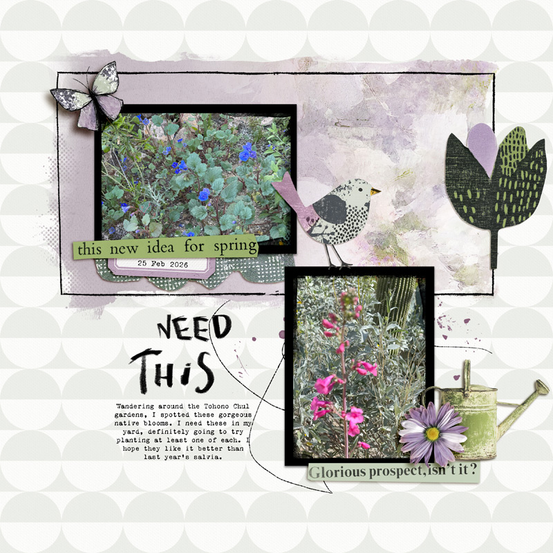2603-lg-spring-copy.jpg