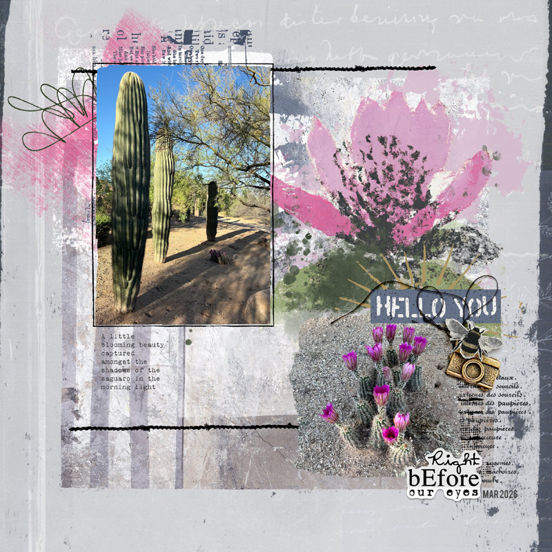 2603-Springing-copy.jpg
