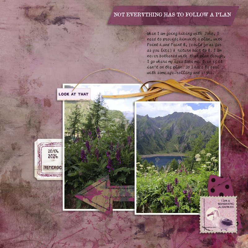 260620_vetch.jpg