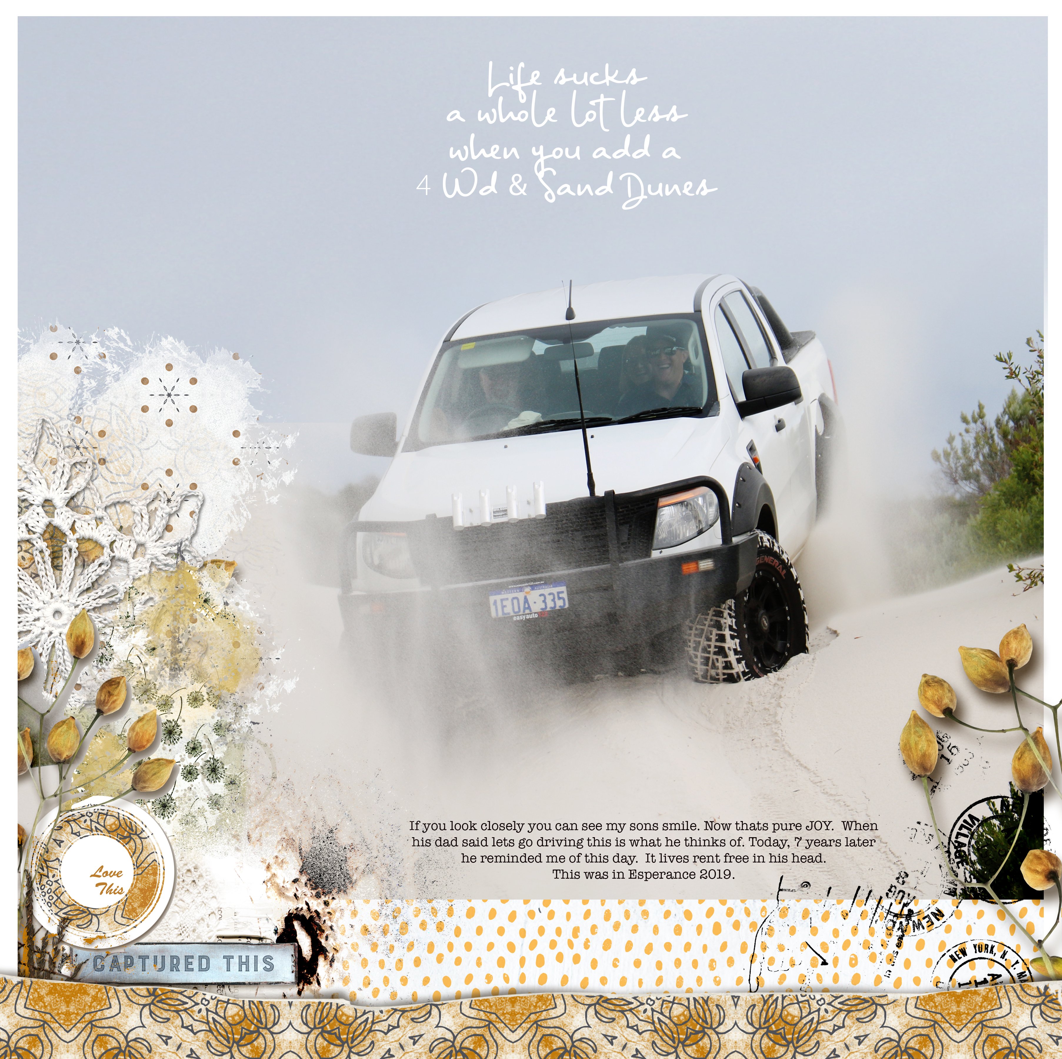 4wd Joy.jpg
