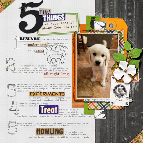 5 fun things we've learned about Toby (so far)