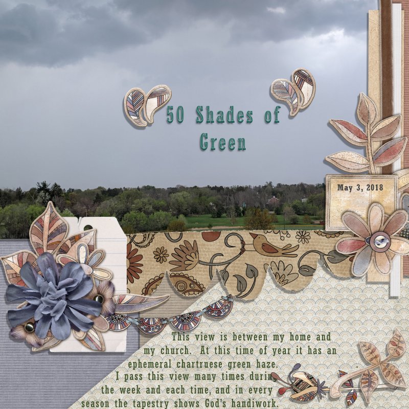 50 Shades Of Green