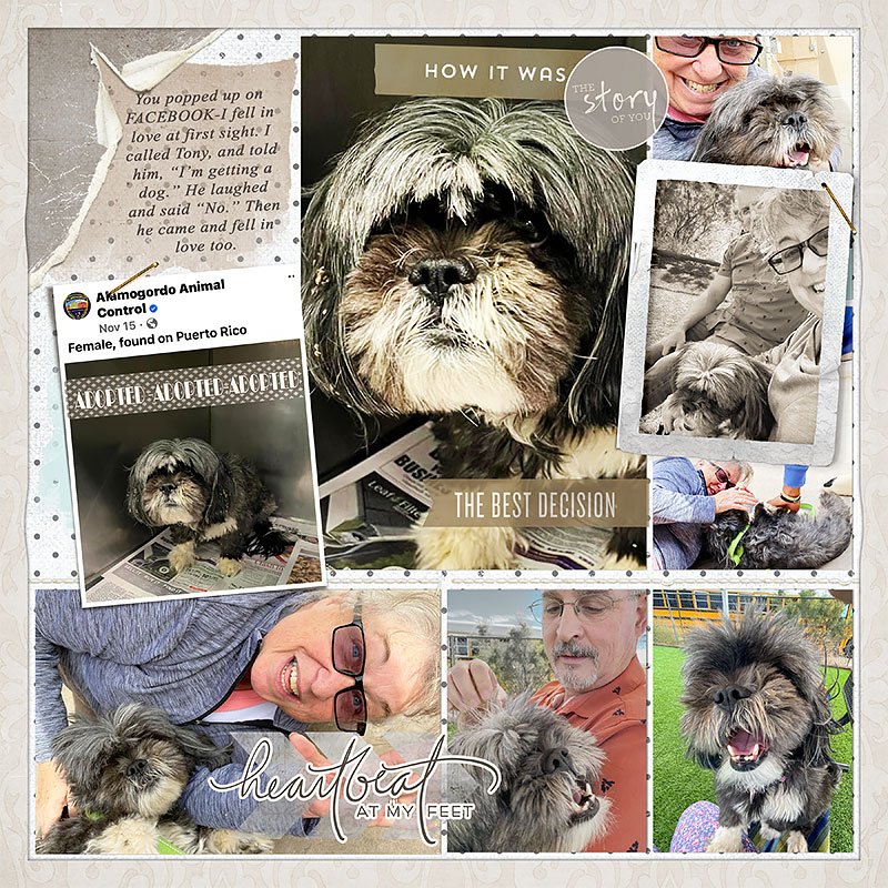 88-THE-STORY-OF-you-dog-copy.jpg