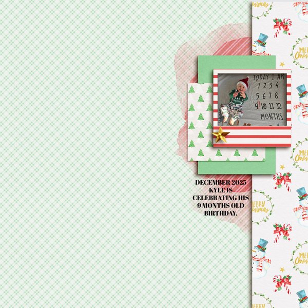 9-MONTHS--WEB.jpg