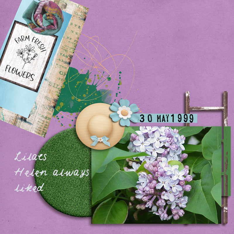 990530_lilac