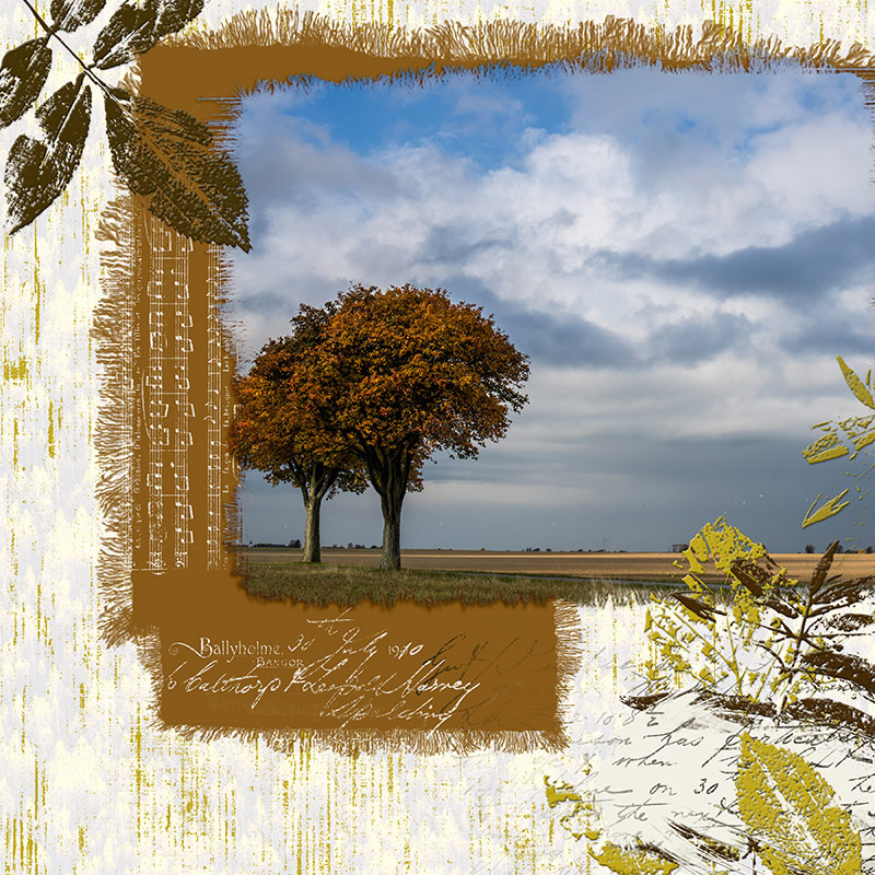 A beautiful autumn