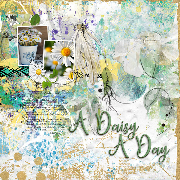 A Daisy A Day