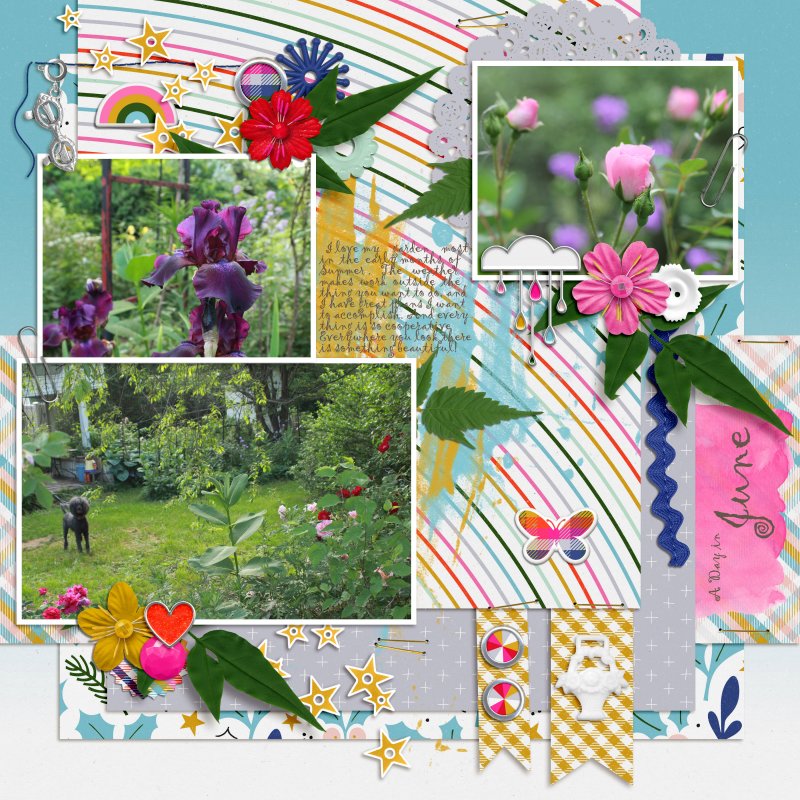 A Day In June