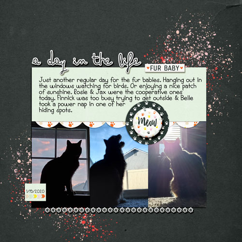 A-Day-in-the-Life