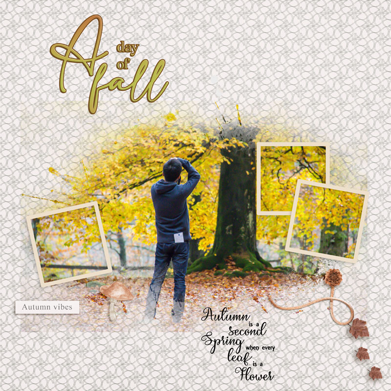 A Day of Fall