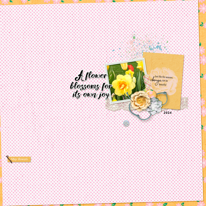 A-flower-blossoms