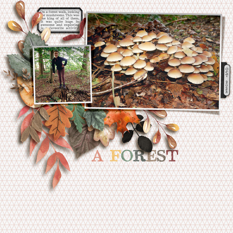 A Forest