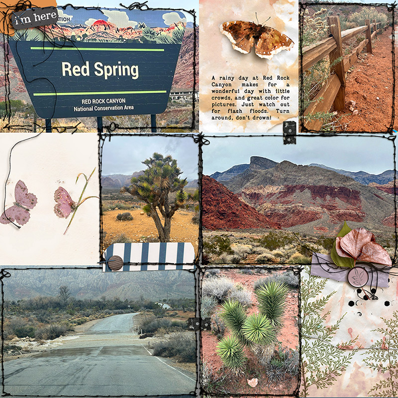A Hike in Red Springs
