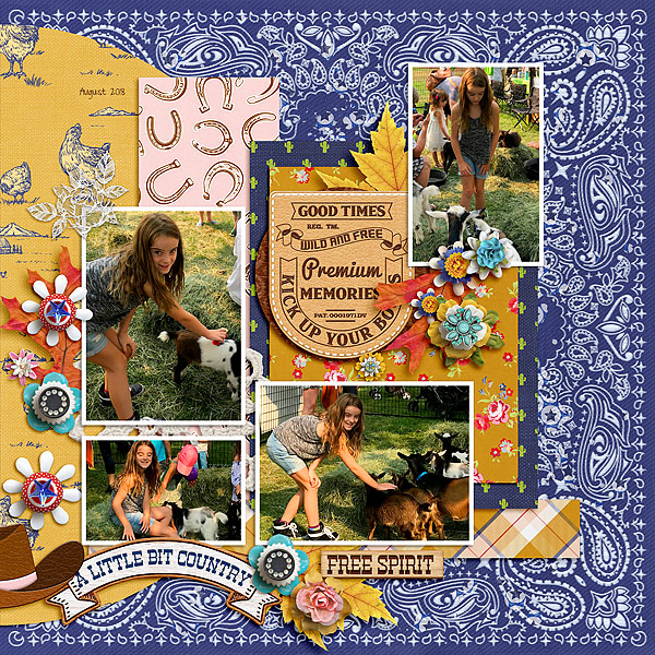 A Little Bit Country