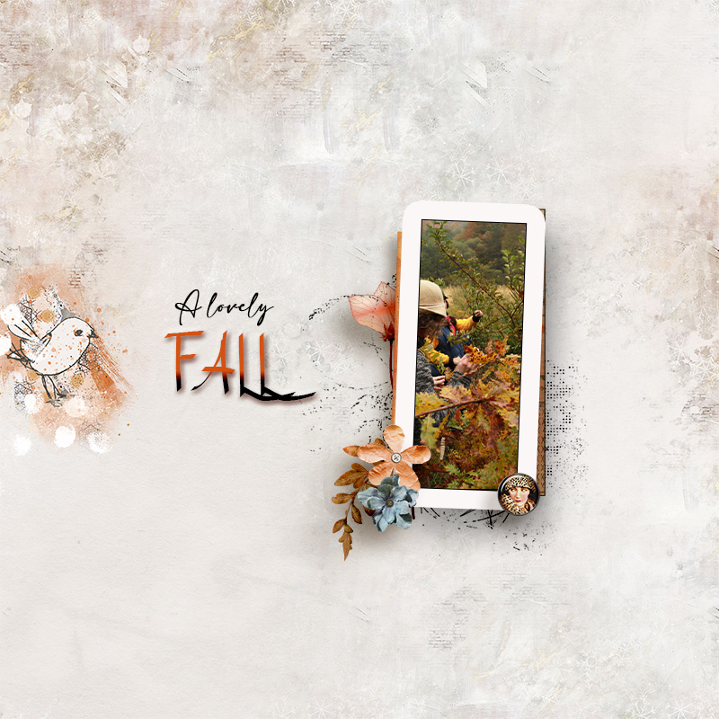 A Lovely Fall