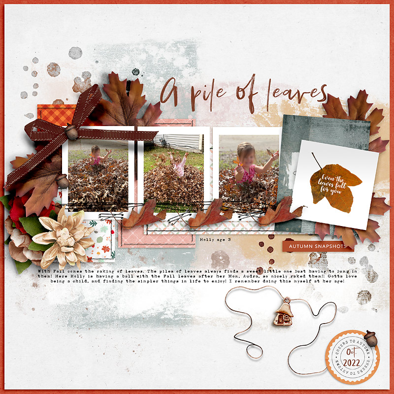 A Pile of Leaves