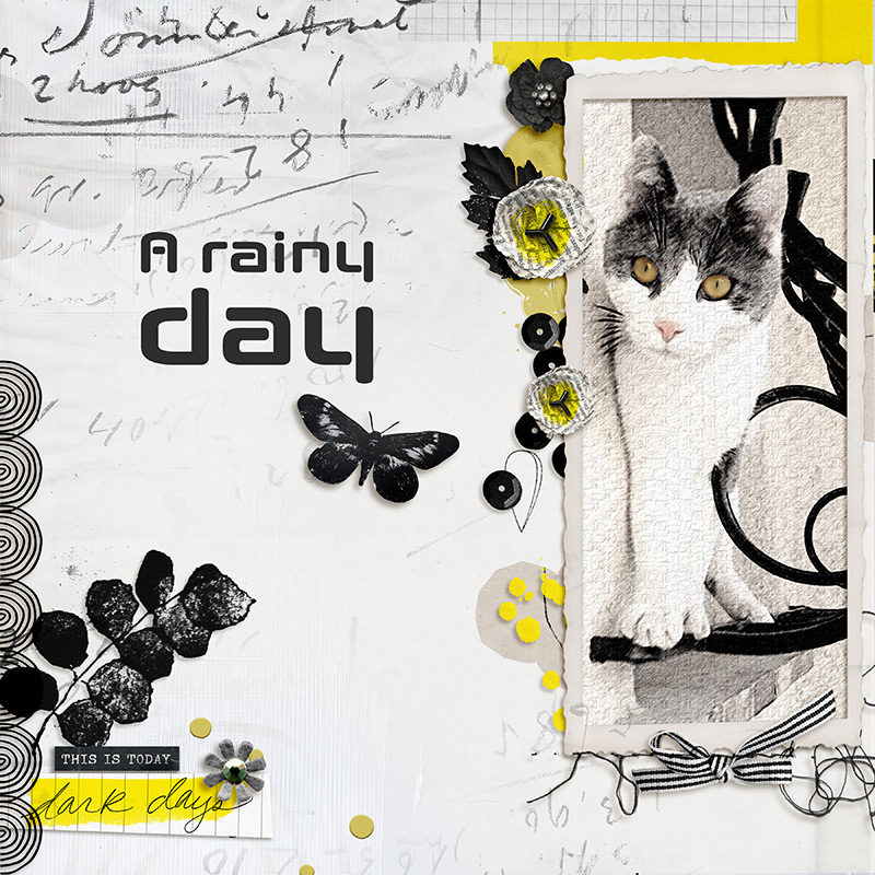 A Rainy Day