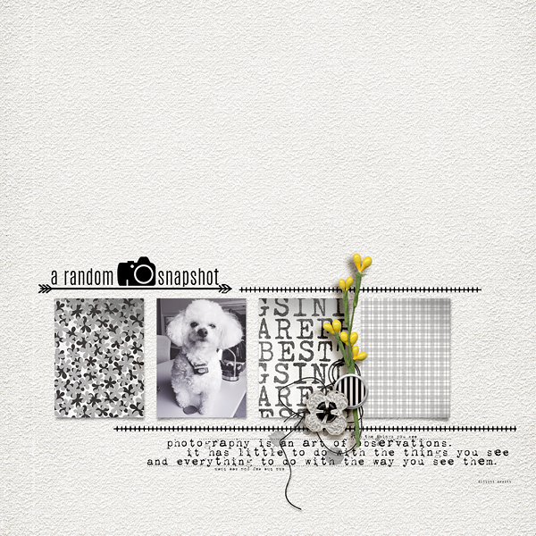 A Random Snapshot