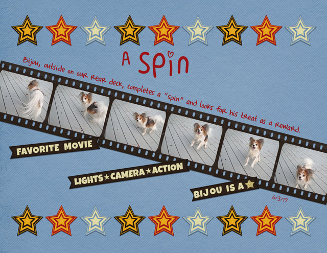 A-Spin